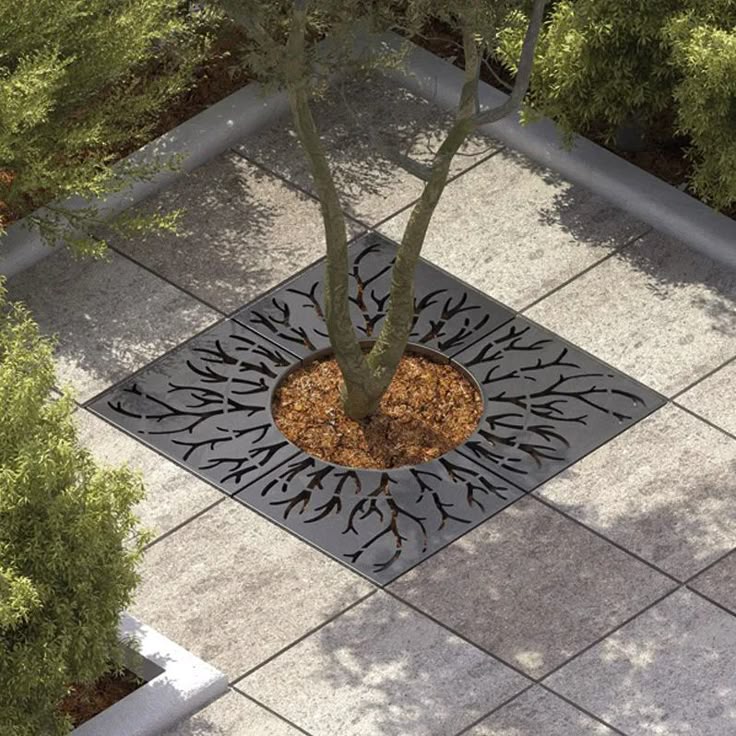 Ծառաբաժակներ